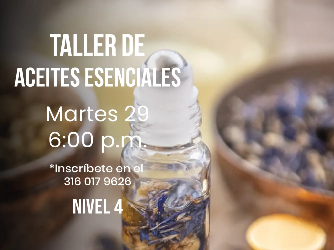 Taller de aceites